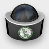 Root Yourself in Success Fine Art Print - graphic